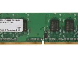 G.SKILL 1GB 240-Pin DDR2 SDRAM DDR2 800 (PC2 6400) Desktop Memory Model F2-6400CL5S-1GBNT