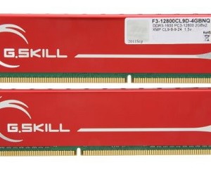 G.SKILL 4GB (2 x 2GB) 240-Pin DDR3 SDRAM 1600 (PC3 12800)