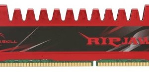 4 Go de G.Skill 240-Broches DDR3 SDRAM 1600 (PC3 12800)